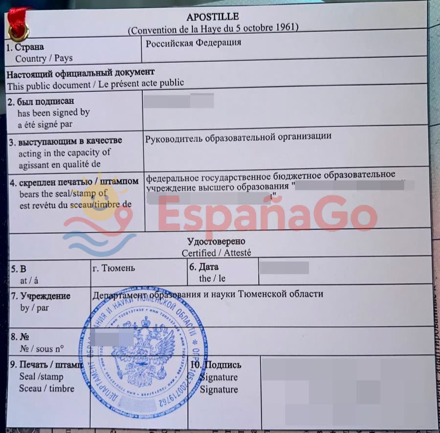 Готовый апостиль на дипломе о высшем образовании — штамп Департамента образования и науки региона